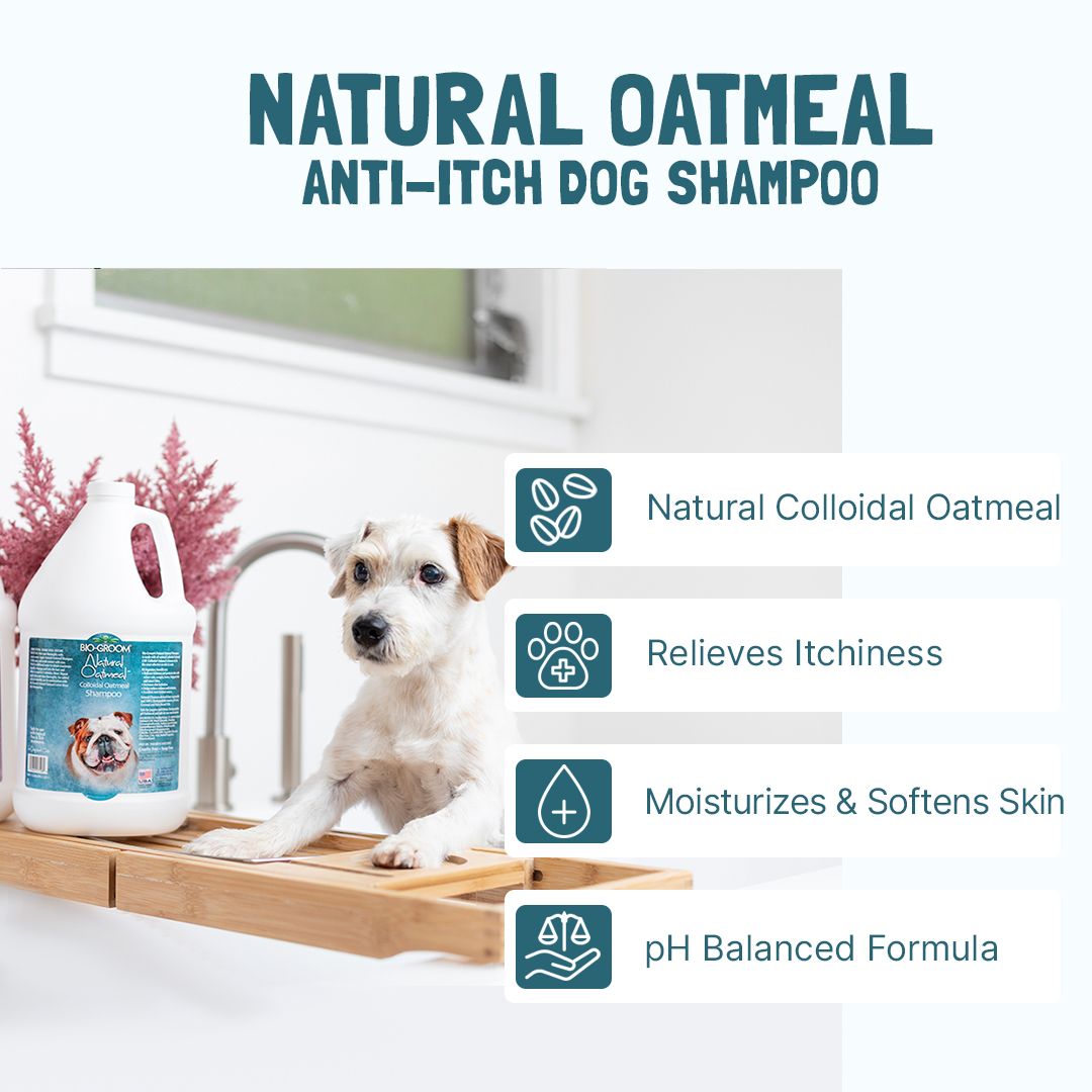 BIO-GROOM Natural Oatmeal Anti-Itch Dog Shampoo