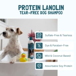 BIO-GROOM Protein Lanolin Tear Free Dog Shampoo