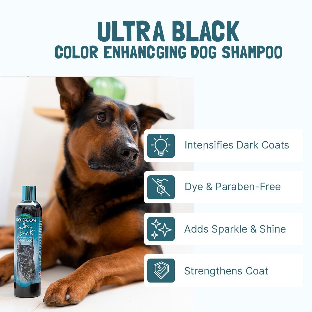 BIO-GROOM Ultra Black™ Color Enhancing Dog Shampoo