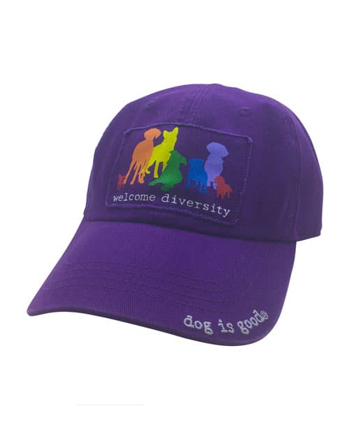 Hat: Welcome Diversity